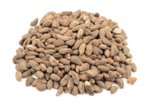 Voacanga Africana seeds